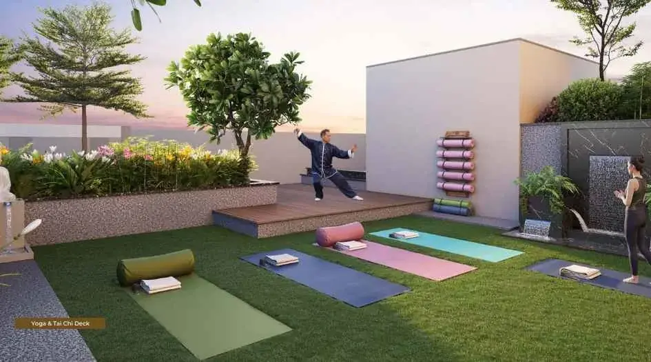 Yoga & Tai Chi Deck